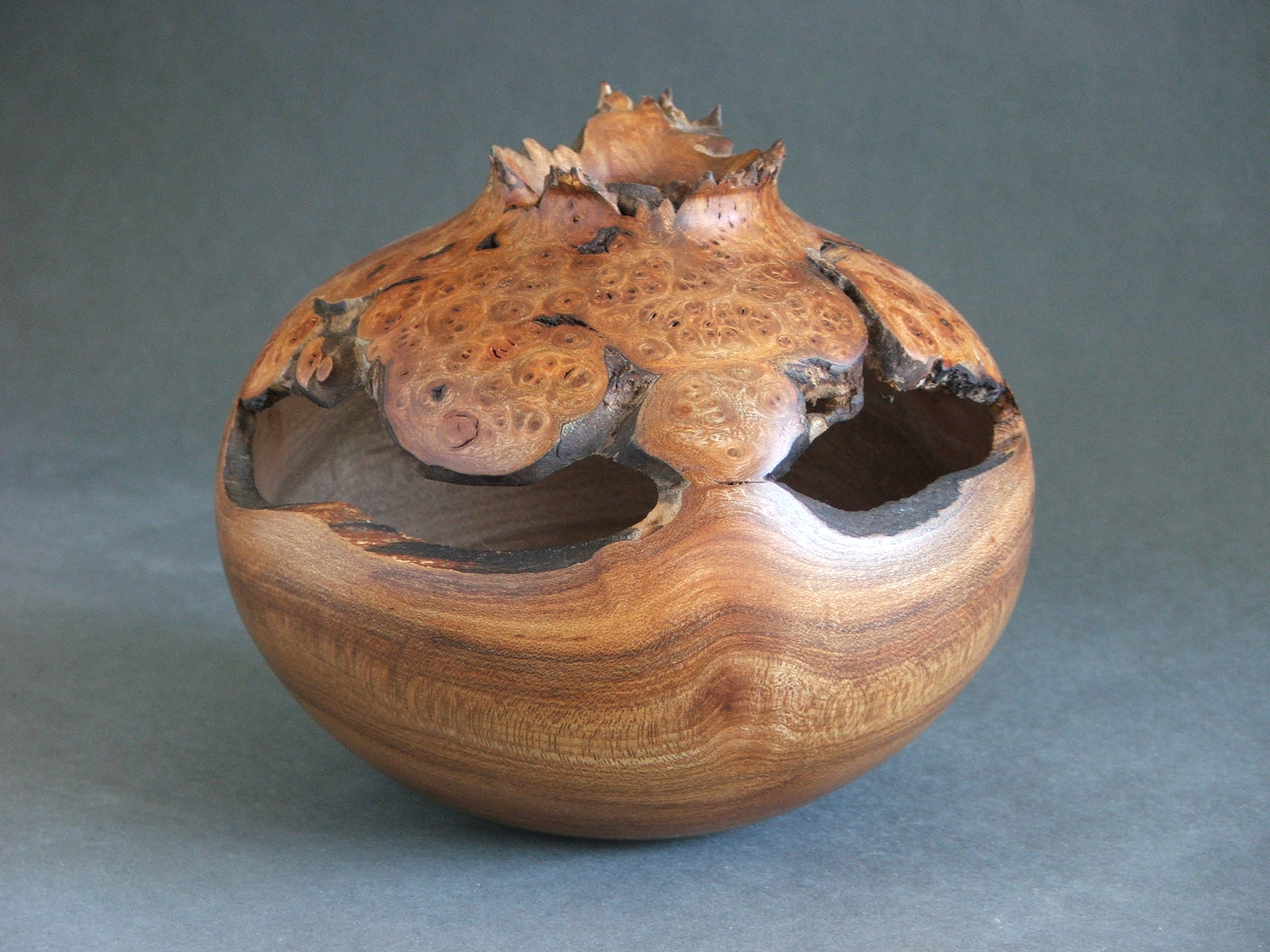 Elm burl