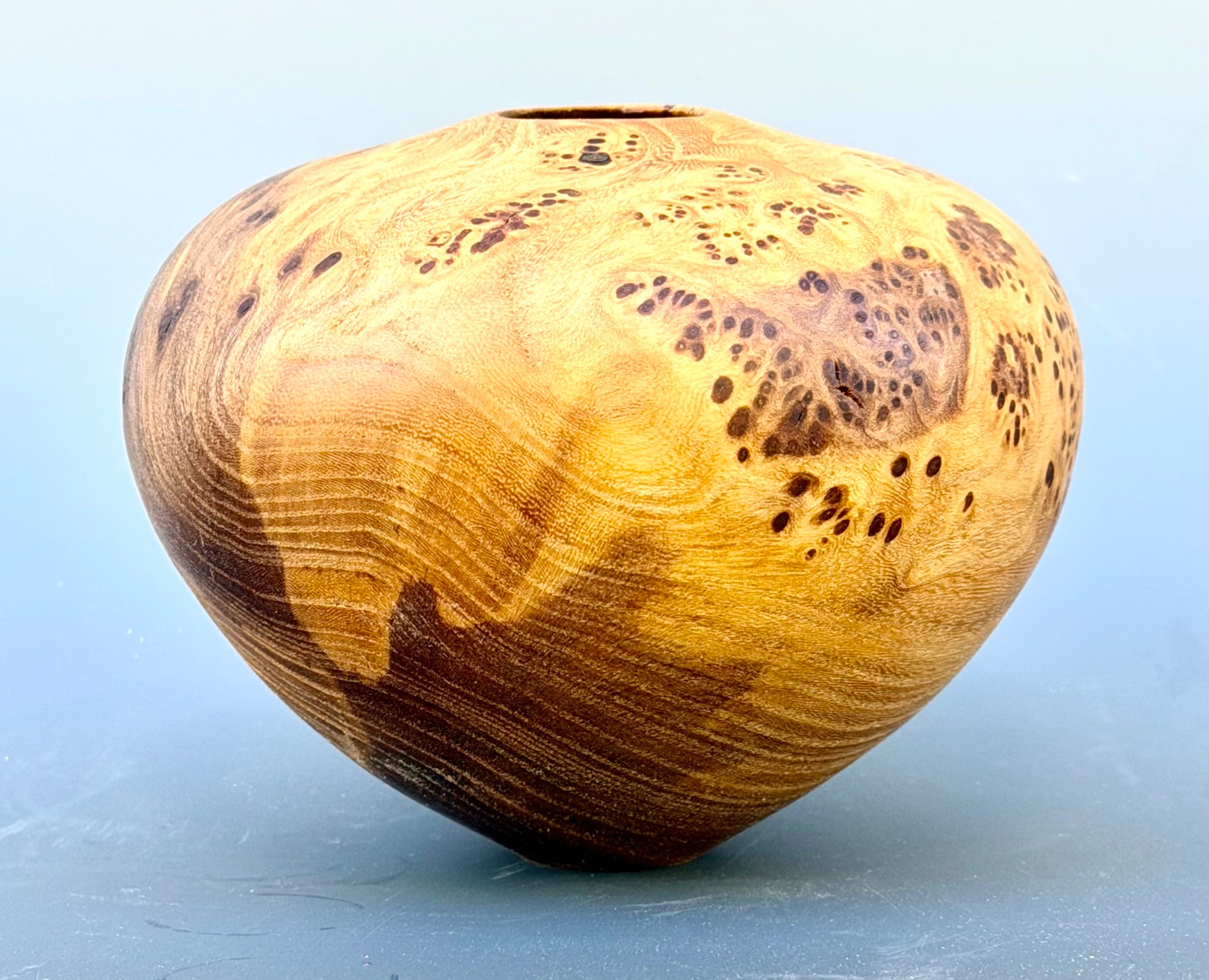Elm burl