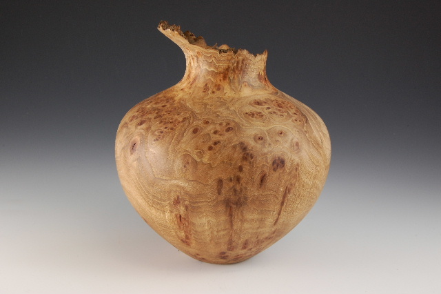 Elm burl