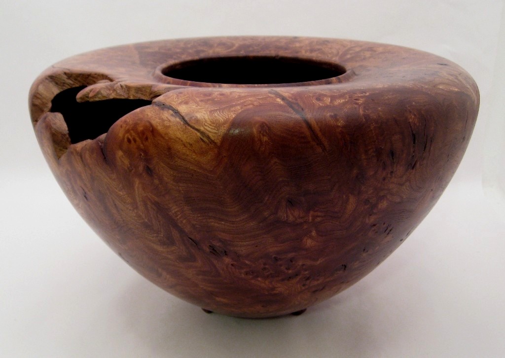 Elm burl