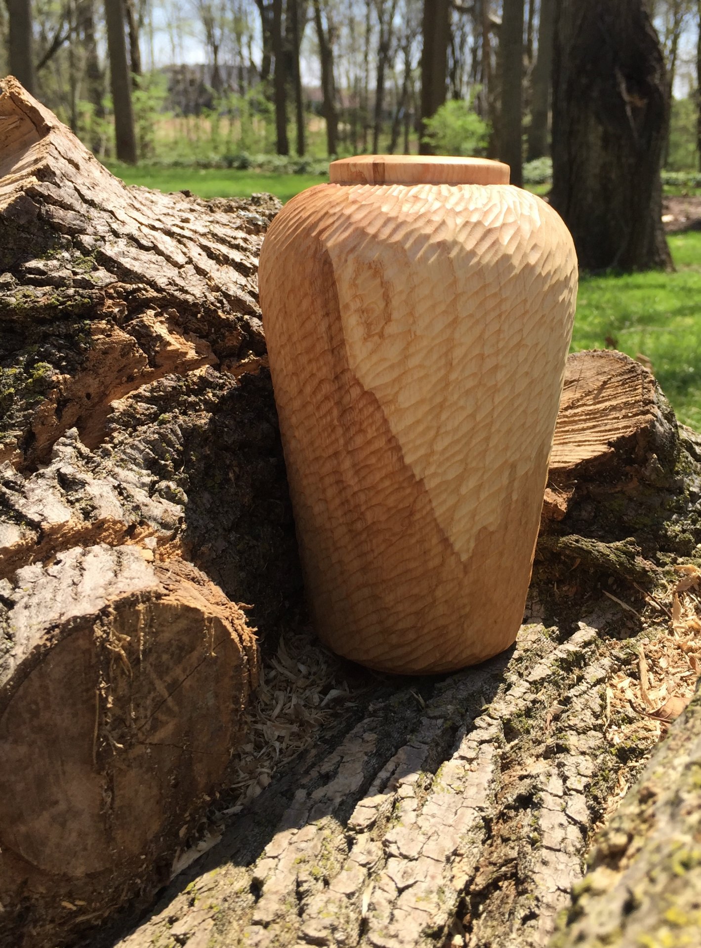 Elm Hollow Form