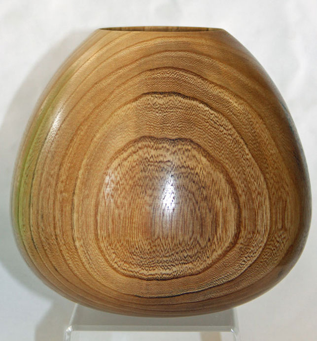 Elm Pot