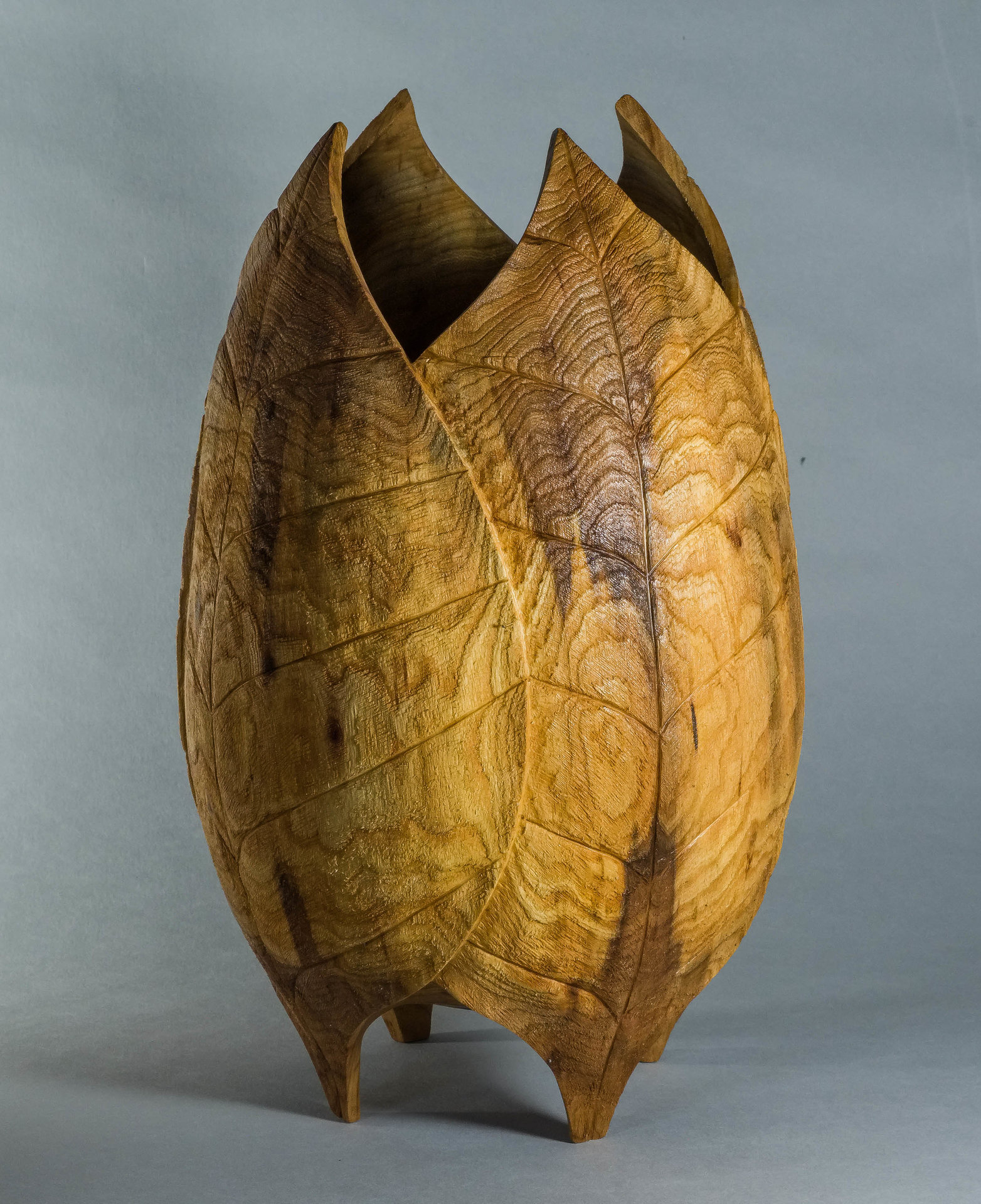 Elm Vessel
