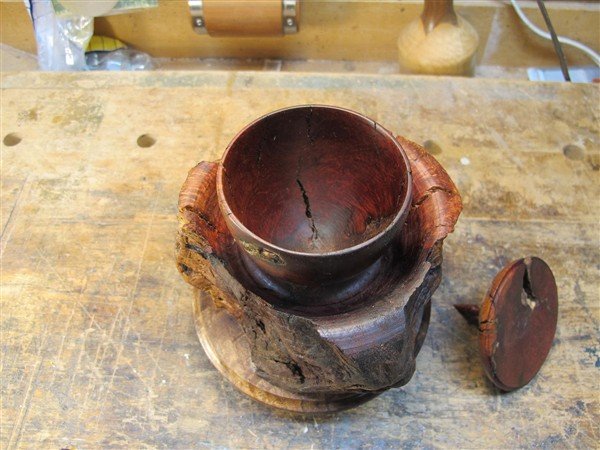 Emerging From The Chrysalis- Open