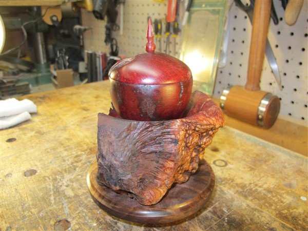 Emerging From The Chrysalis