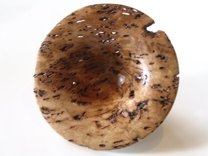 Eucalyptus Gum (view 2)