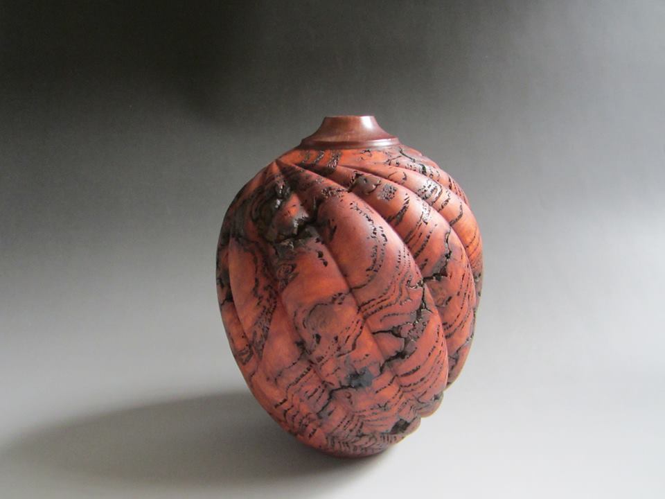 Eucalyptus resin Burl with spirals