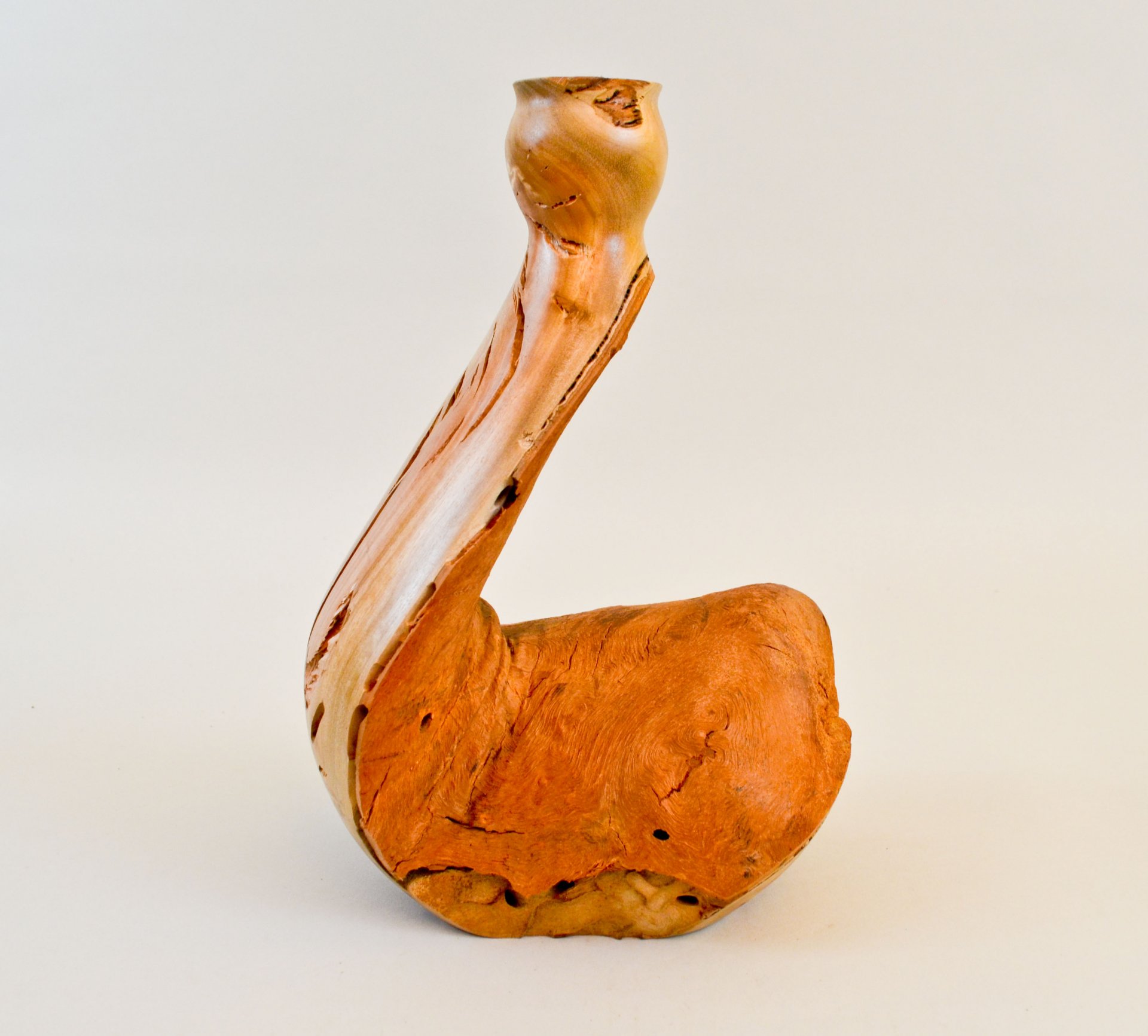Eucalyptus Twig Pot