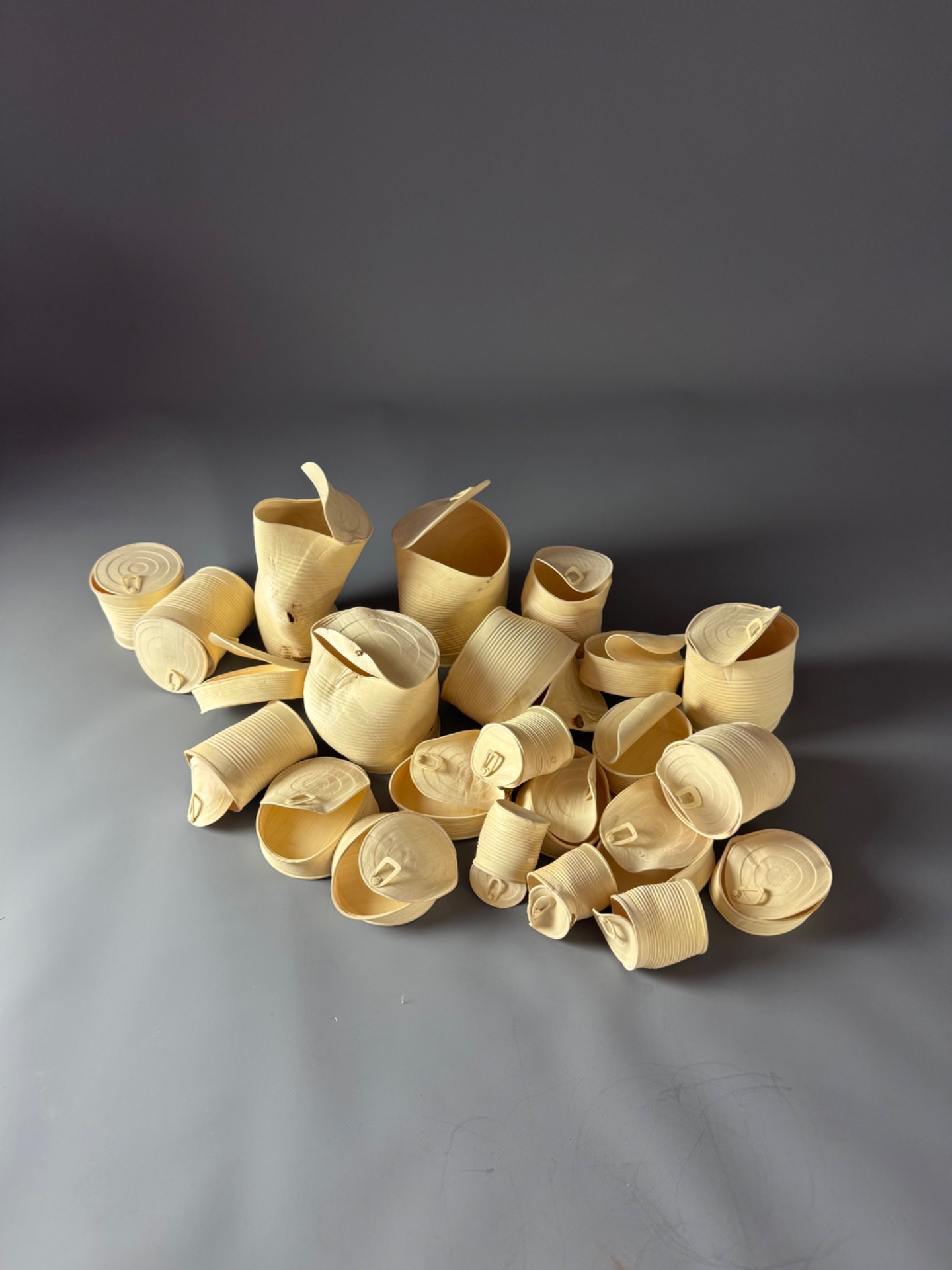 Family of fig tree cans