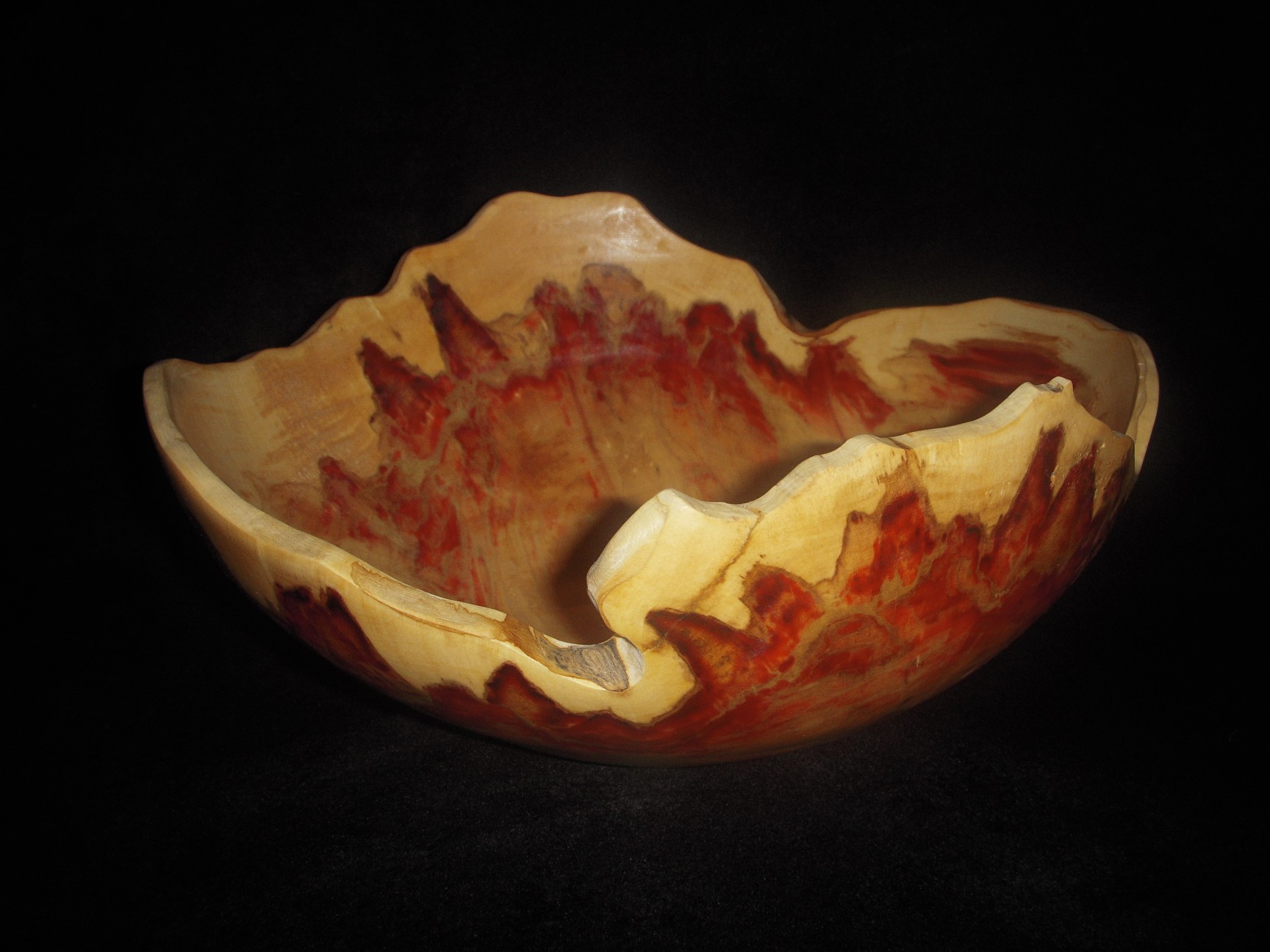Flame box elder