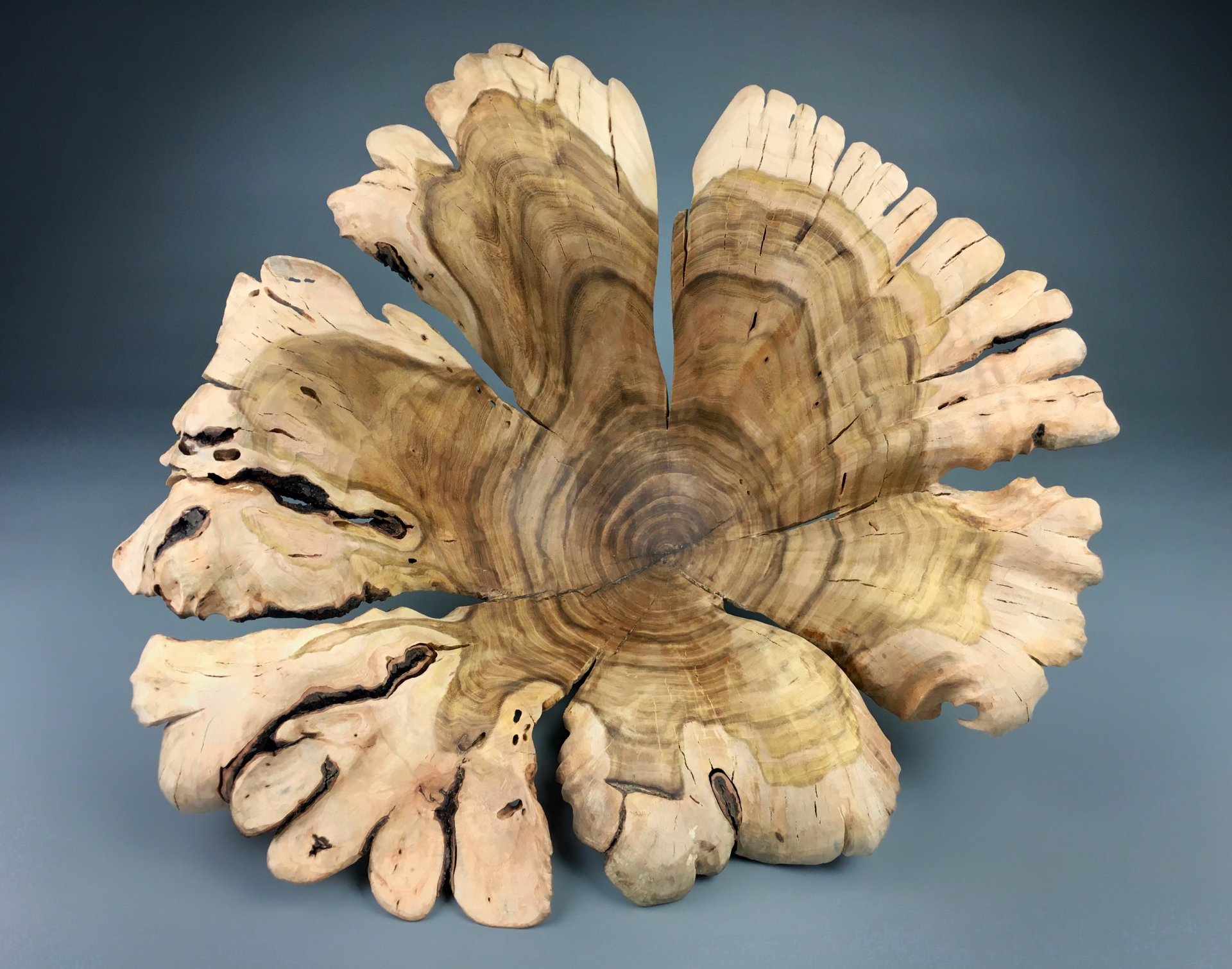 Flowering Poplar Vase