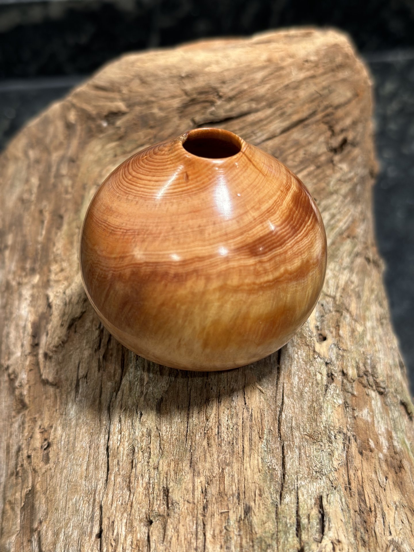 Found in a spinning log