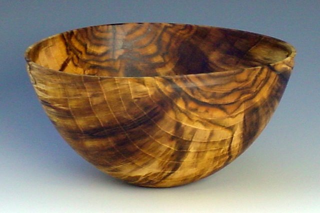 Fungus Bowl
