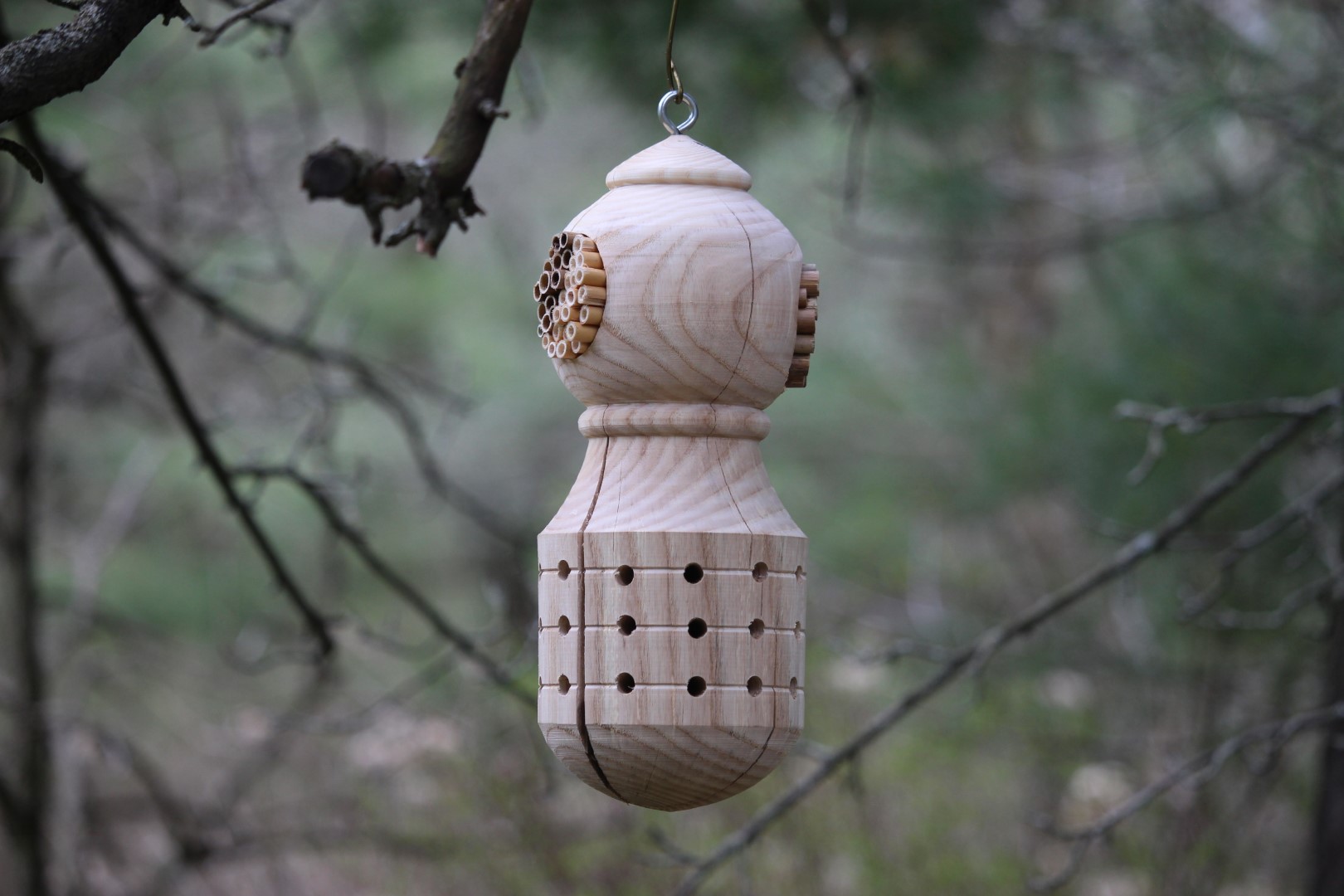 Garden piece for Solitary Bees