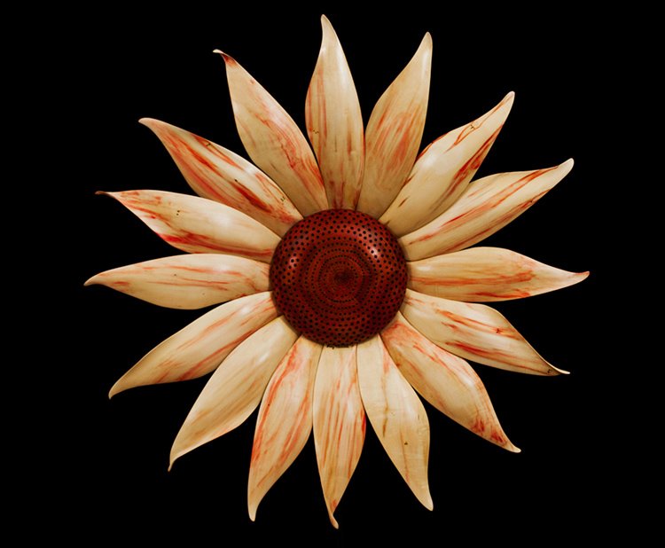 Gazania