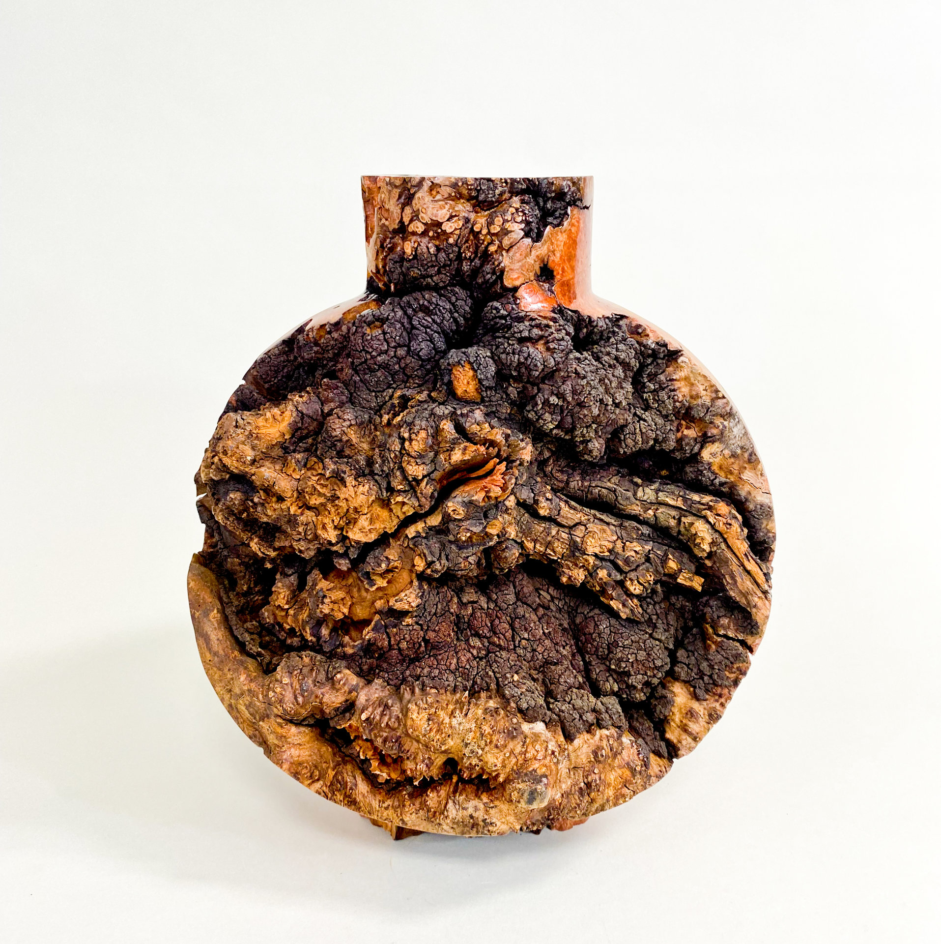 Glory Revealed (other side)