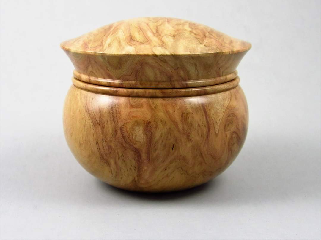 Gray Box Burl lidded box