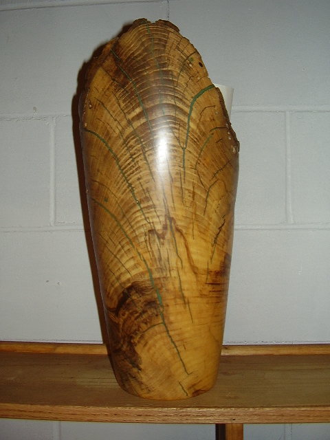 Hackberry vase