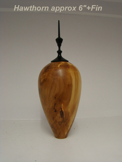 Hawthorn Hollow Form.