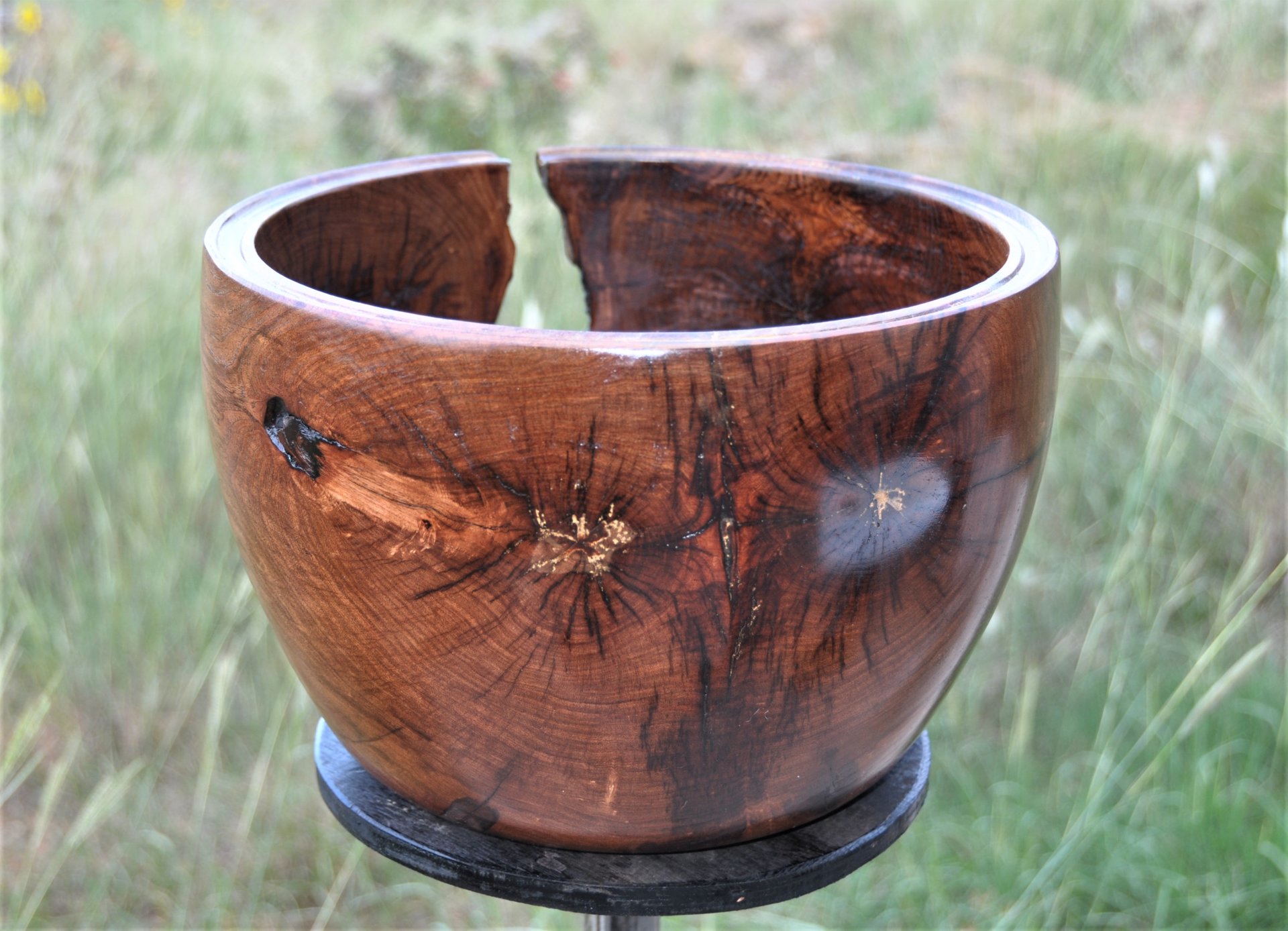 Hells Gate! 11.5" x 7.75" American Association of Woodturners