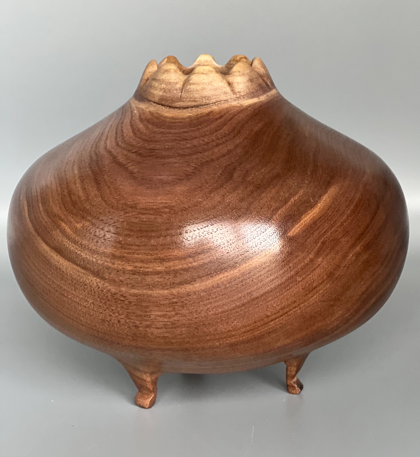 Hollow Form Evolution