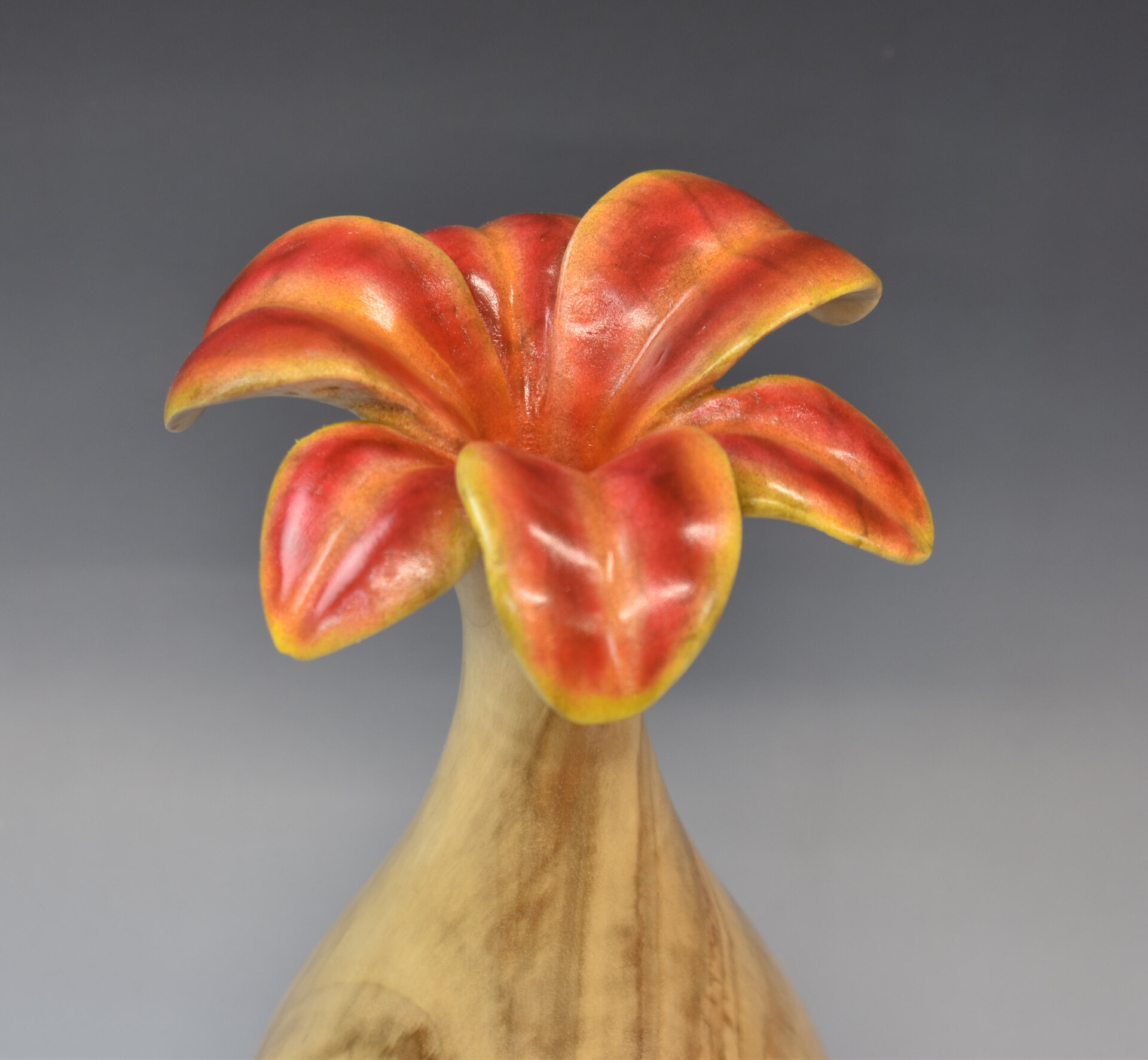 Hollow form to a lily view 1