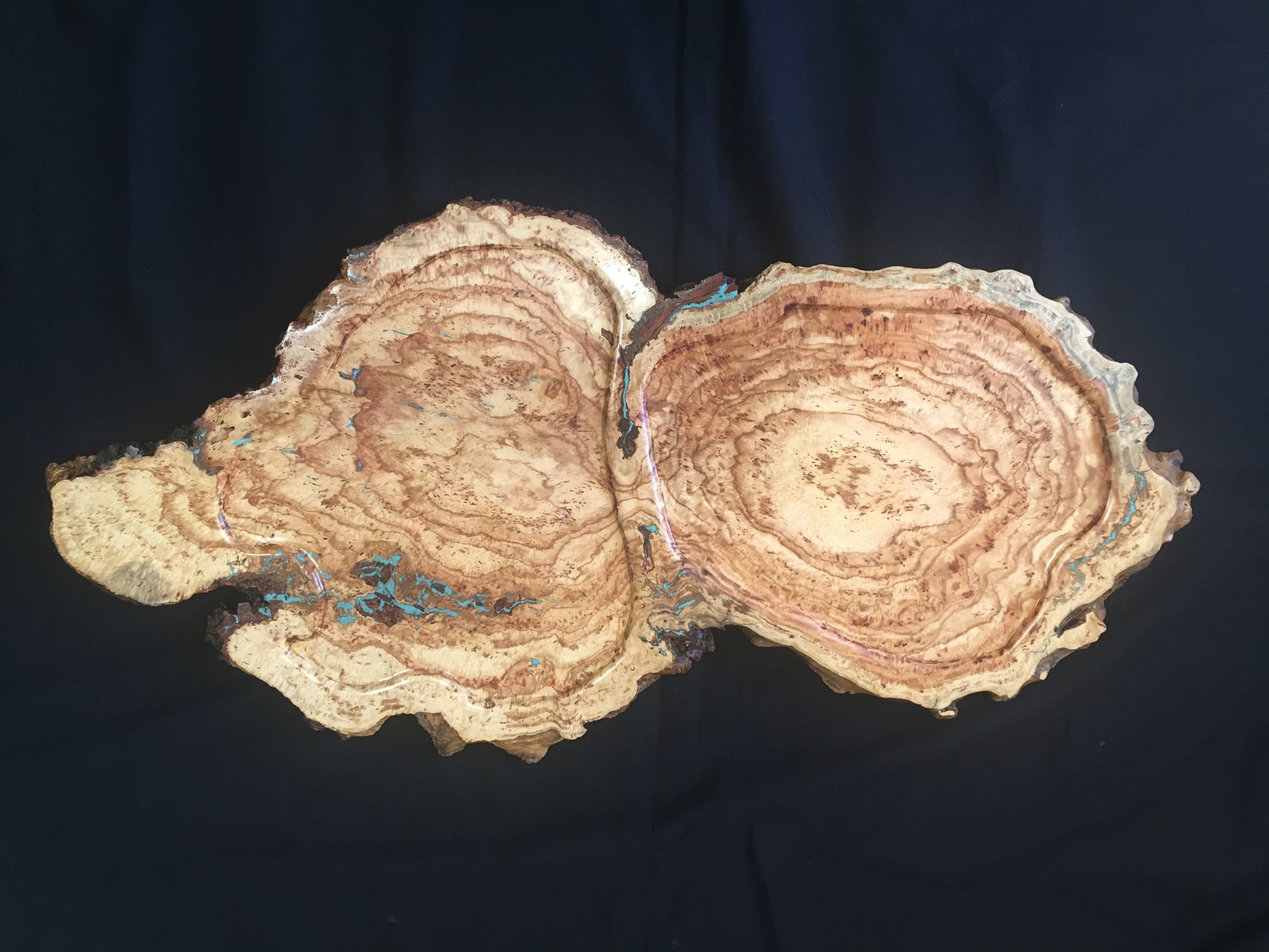 Honey locust burl charcuterie board w/turquoise inlay