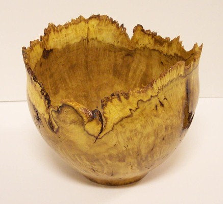 Honey Locust Burl natural edge