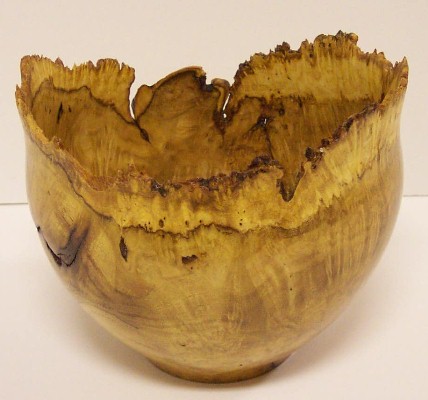 Honey Locust Burl natural edge