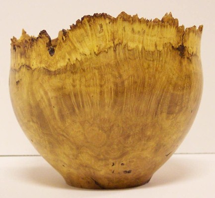 Honey Locust Burl natural edge