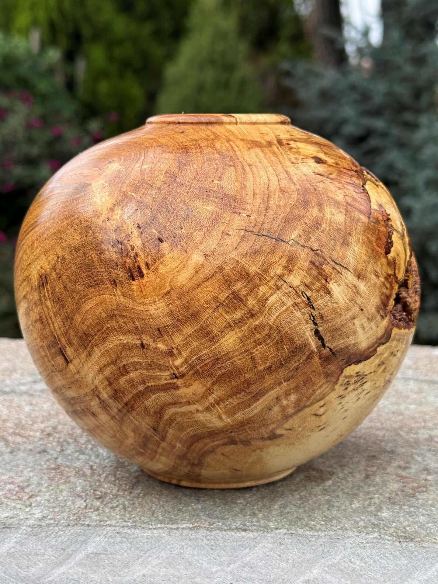 Honey Locust Burl Vessel with Bark Inclusion (back view)