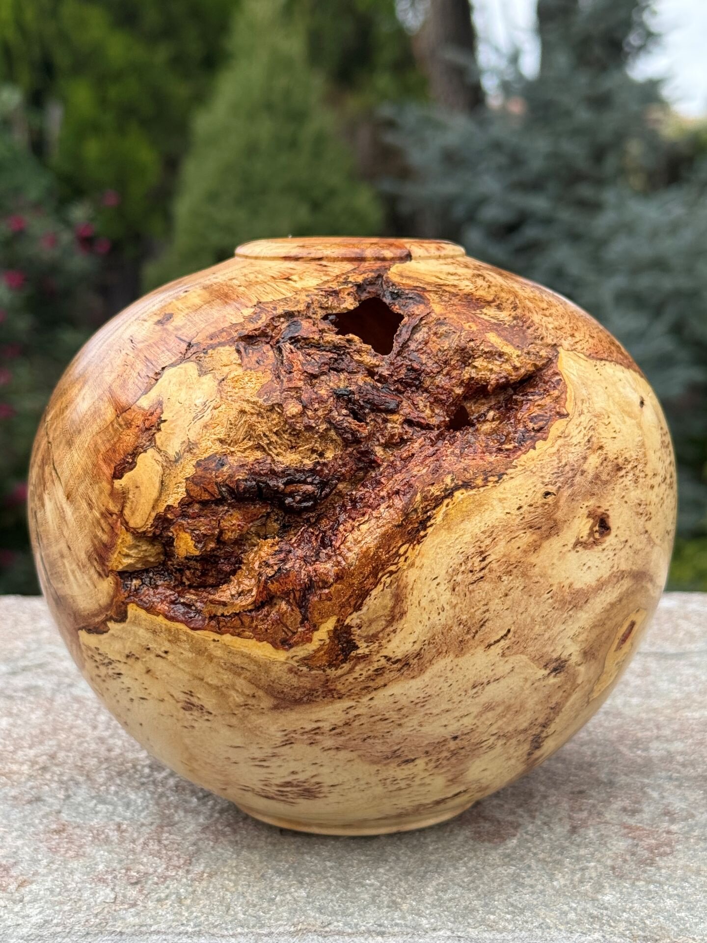 Honey Locust Burl Vessel with Bark Inclusion (front view)