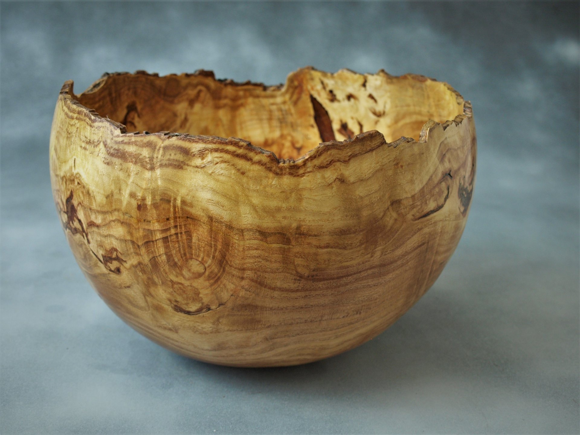 Honey locust burl