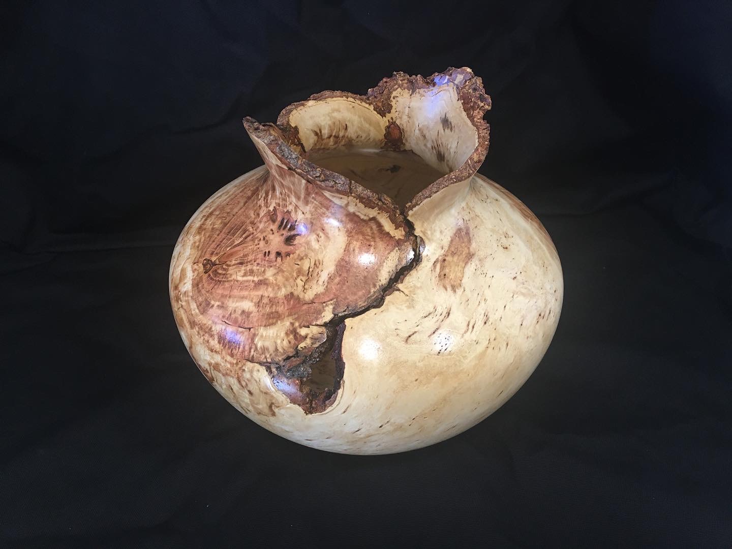 Honey locust burl