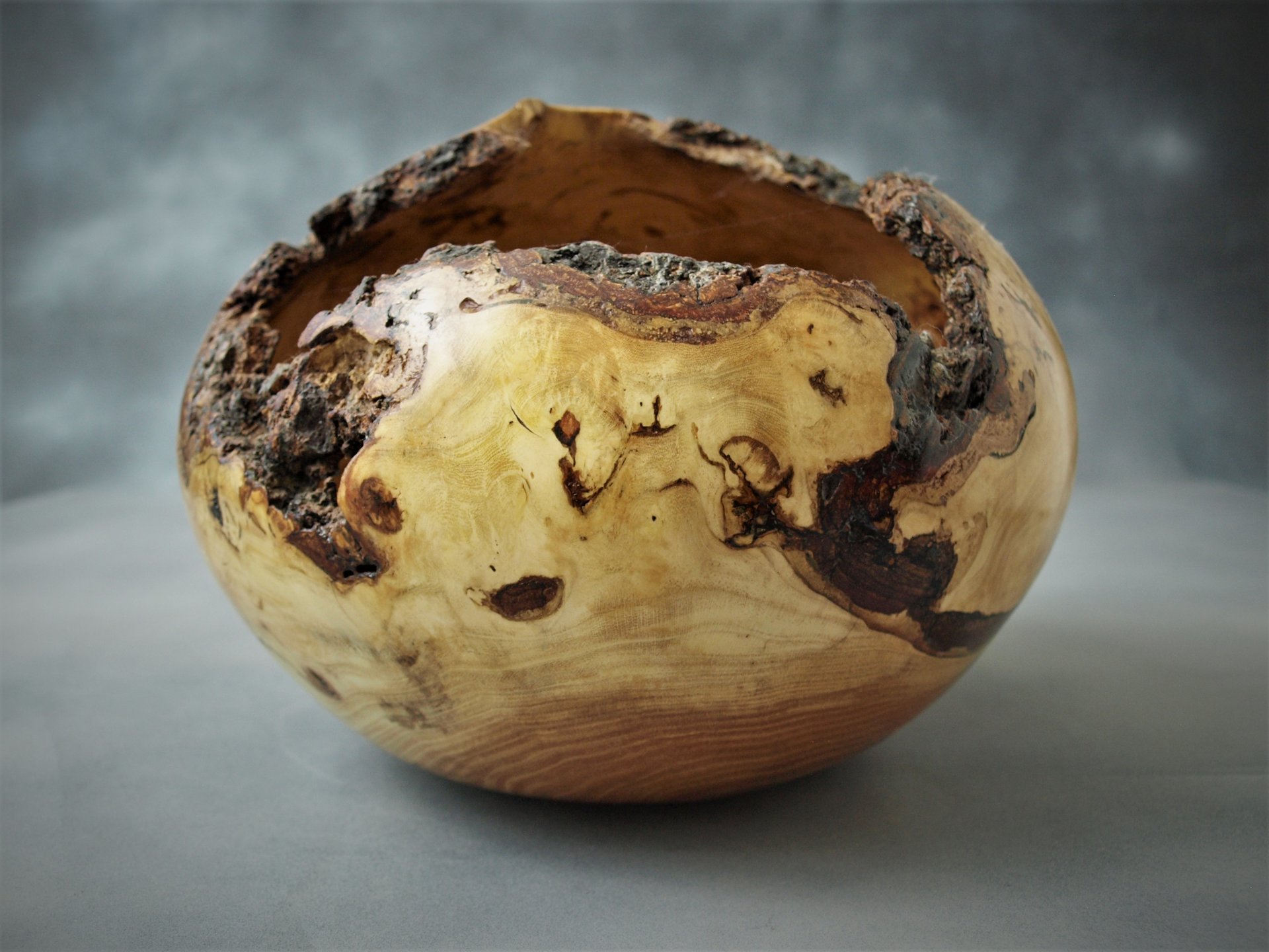 Honey locust hollow form - natural edge