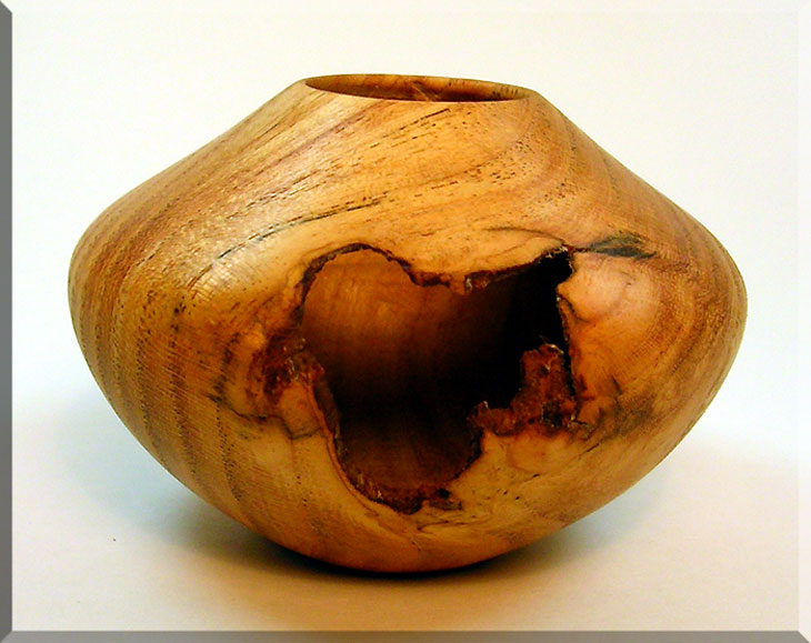 Honey Locust SW Hollow Form