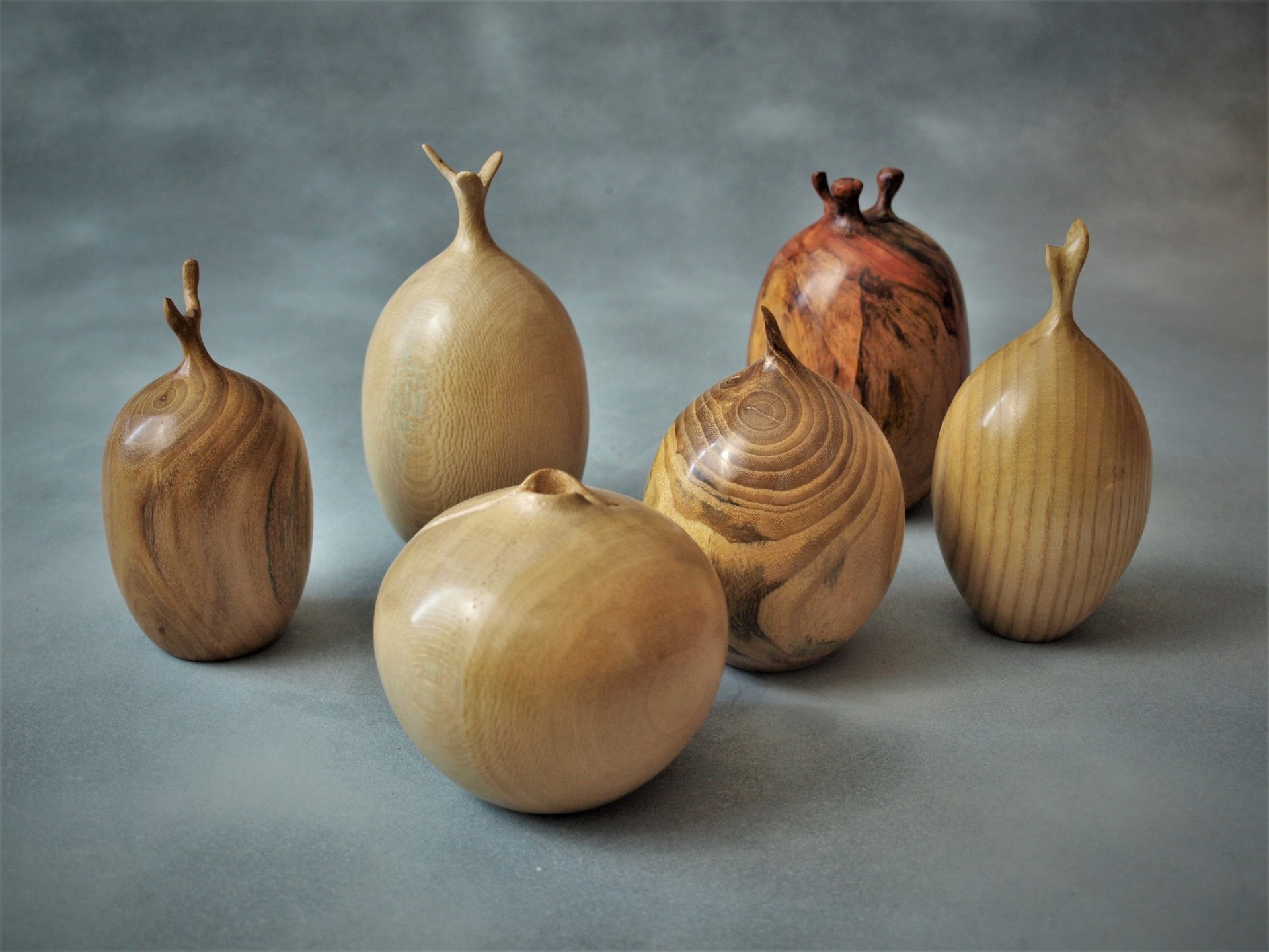 I guess I will call these seed pods