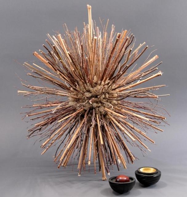 I Have A Secret - Druid Box #1