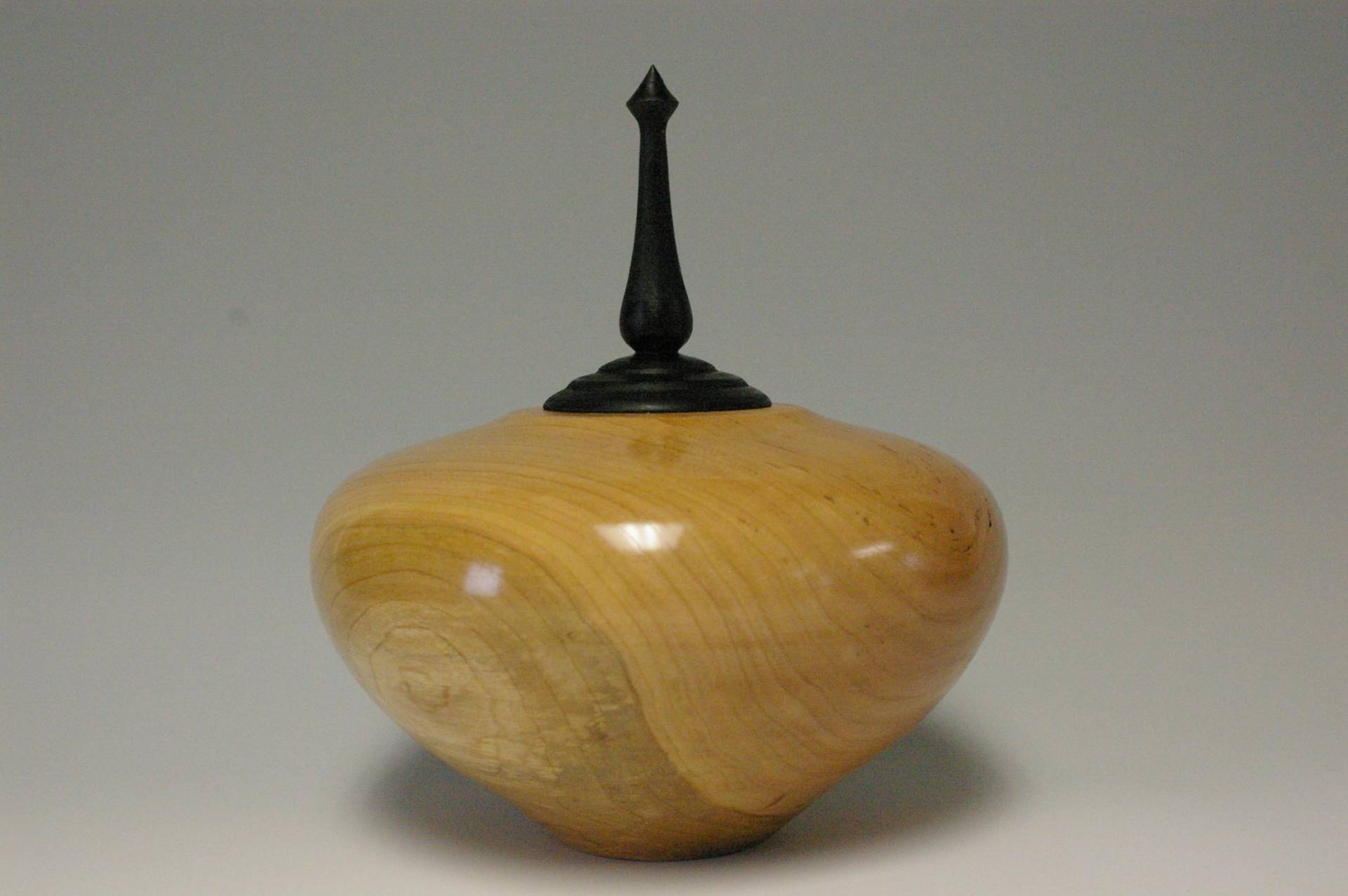 IMGP2581