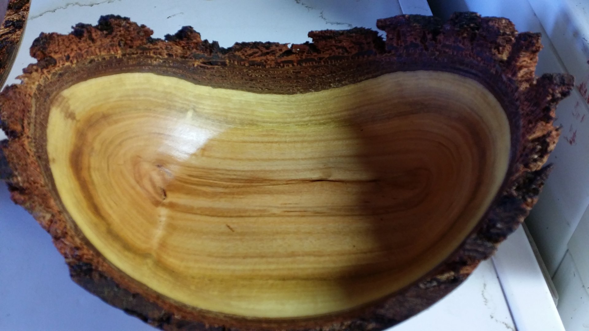 Iron Bark 2