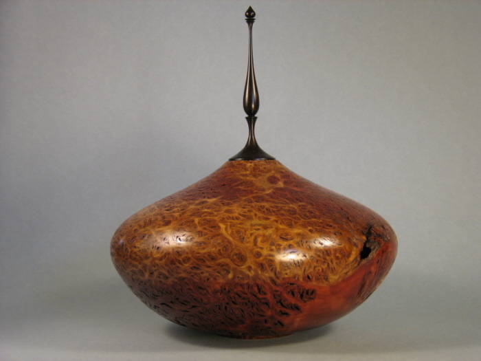 Jarrah Burl H/F