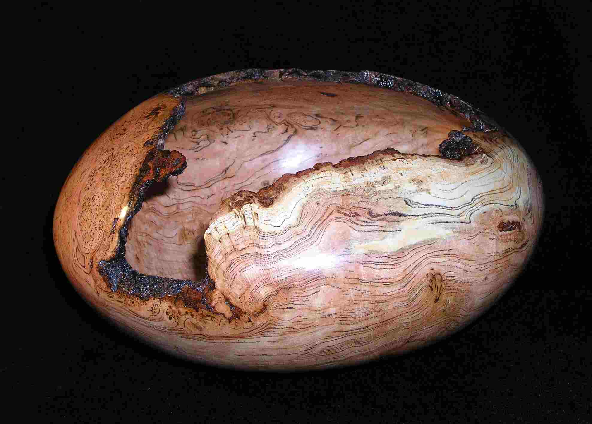 "Jupiter"