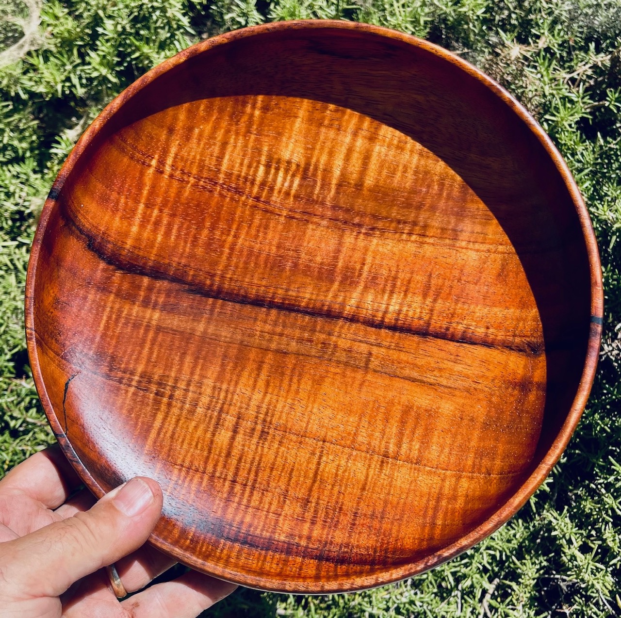 Koa