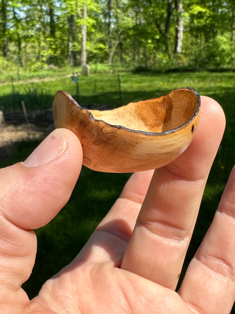 Korean Cherry Bush: Mini Natural-Edge Bowl