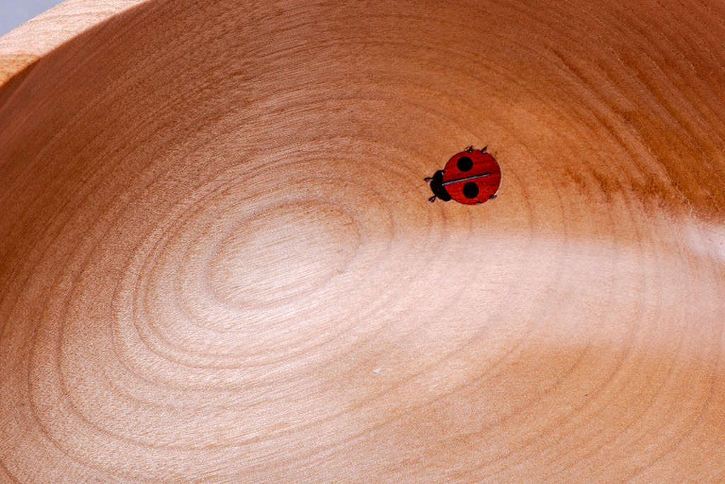 Ladybug Inlay