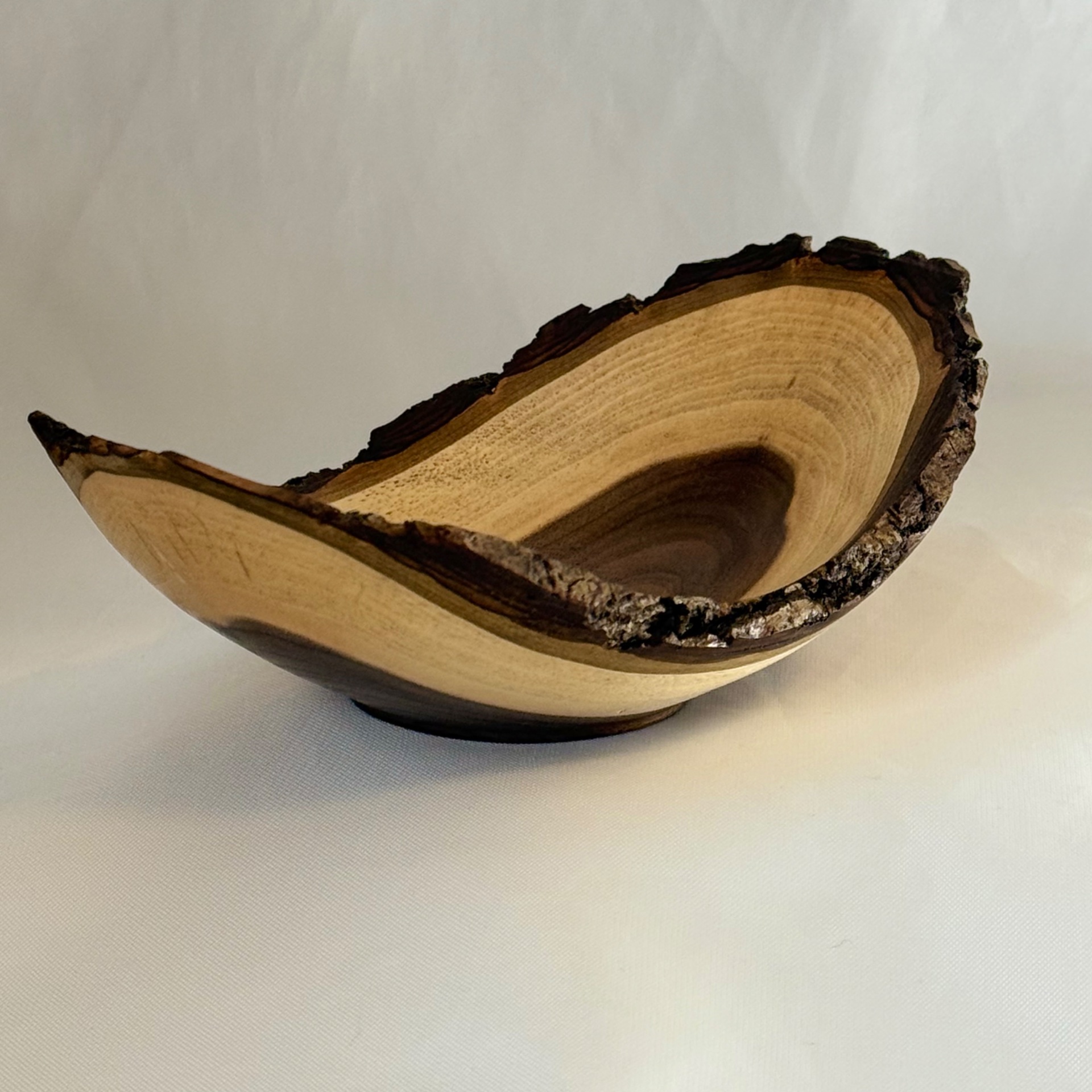 Live Edge Black Walnut Winged Bowl