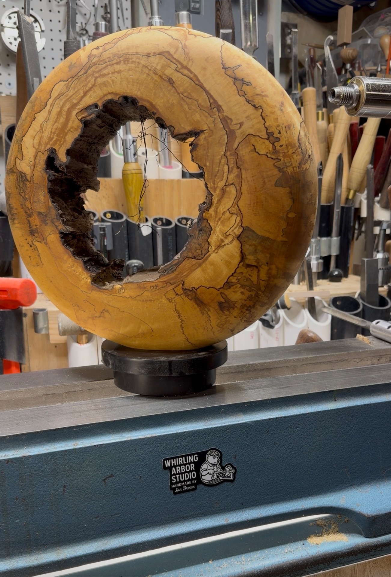 Live inside edge donut