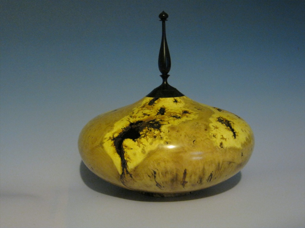 Locust burl