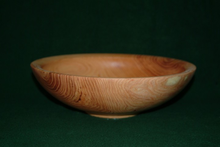 Locust Salad Bowl