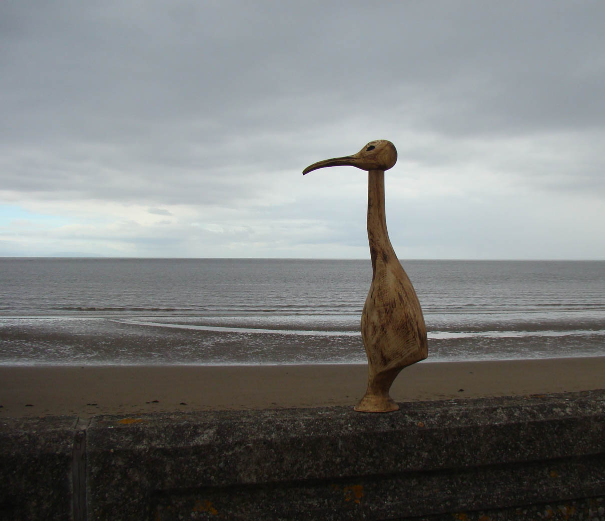 Looking out to sea